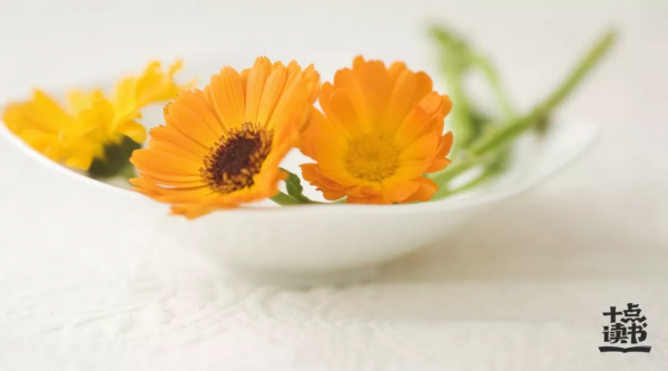 好好吃飯的人,最後都贏了 好好吃飯的人,最後都贏了