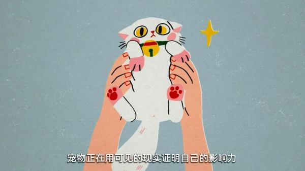 我們都在被捲入貓時代 我們都在被捲入貓時代