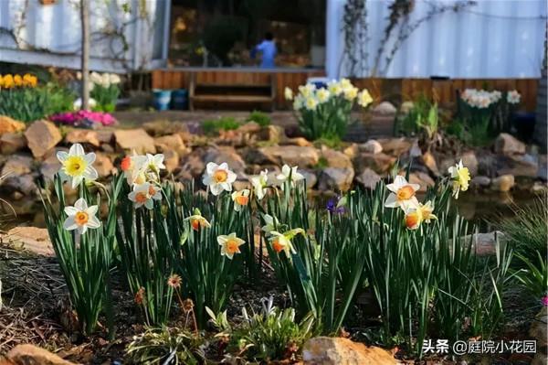 他賣掉城裡的房子，包了個山頭，打造集裝箱陽光房、小木屋、花園