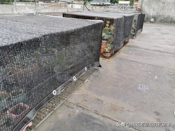 關於遮陰網,我把我知道的全告訴你 關於遮陰網,我把我知道的全告訴你