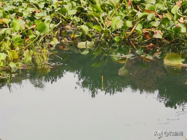 天氣變冷後,魚都躲哪裡去了?冬天野釣得靠“人找魚” 天氣變冷後,魚都躲哪裡去了?冬天野釣得靠“人找魚”