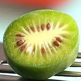 小冬瓜西瓜捲心菜……迷你蔬果的來歷你都瞭解嗎? 小冬瓜西瓜捲心菜……迷你蔬果的來歷你都瞭解嗎?