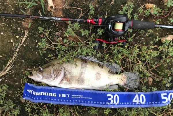 想學路亞,卻不知道從哪入手?看這篇就對了 想學路亞,卻不知道從哪入手?看這篇就對了