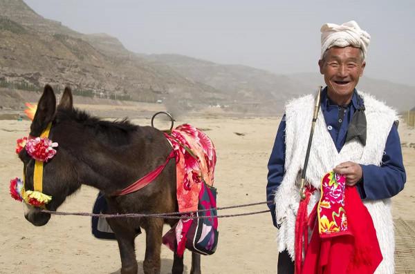 牧民救過野驢，遷徙2年後再相遇，野驢給恩人下跪