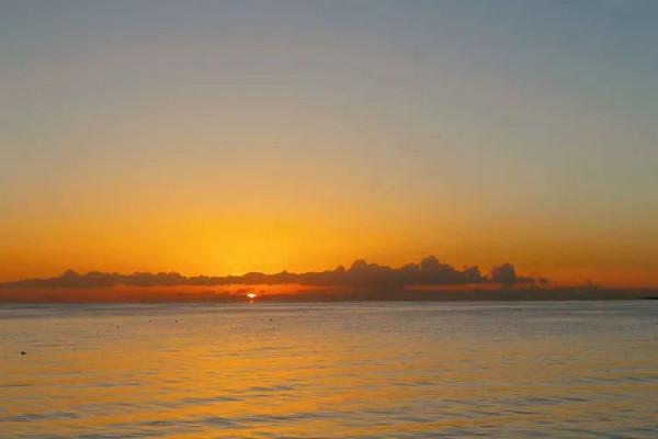 時光匆匆，一閃而逝，這世間萬物的美，都值得被記錄