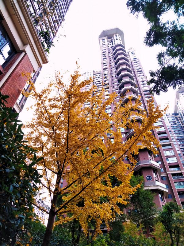 垂釣之旅——日行千里，只為漁你相見