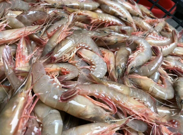 含“寄生蟲”最多的3種海鮮,沒營養還貴,老闆自己從不吃 含“寄生蟲”最多的3種海鮮,沒營養還貴,老闆自己從不吃