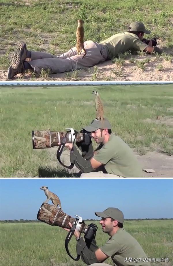 35張圖片帶我們領略大自然的狂野和美麗 35張圖片帶我們領略大自然的狂野和美麗