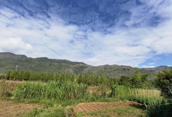 彌勒市竹園,一個美麗的地方 彌勒市竹園,一個美麗的地方