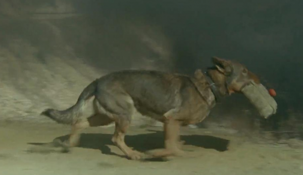 “當家主母殺貓事件”登上熱搜:倘若藝術沾了鮮血,觀眾寧願不看 “當家主母殺貓事件”登上熱搜:倘若藝術沾了鮮血,觀眾寧願不看