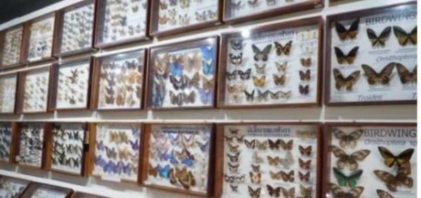 在泰國清邁旅遊，怎麼玩才有意思，這三處地方不容錯過