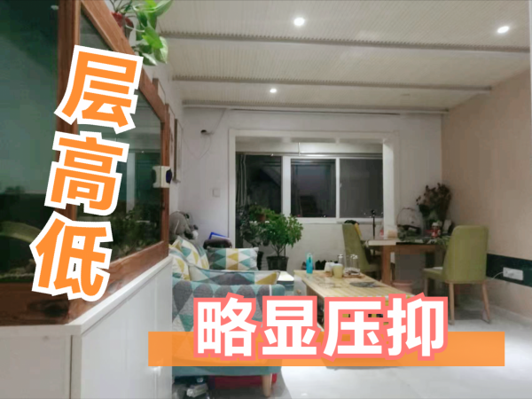 loft住宅為何受年輕人青睞？住進去才發現是&OpenCurlyDoubleQuote;坑&rdquo;，投資者謹慎