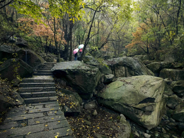 西峽這個地方秋色“蠢蠢欲動”，是時候開啟一場深秋之旅啦