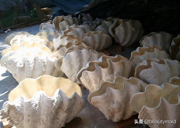 冒充海南玉的文玩都有那些? 冒充海南玉的文玩都有那些?