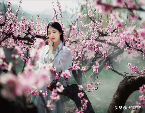 一炮打響的唐朝三位崔姓詩人,三首著名的詩,三段膾炙人口的佳話 一炮打響的唐朝三位崔姓詩人,三首著名的詩,三段膾炙人口的佳話