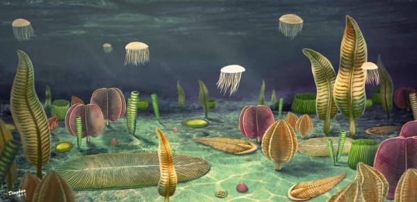 6億年前的地球為何突然變熱鬧？這項研究成果告訴你