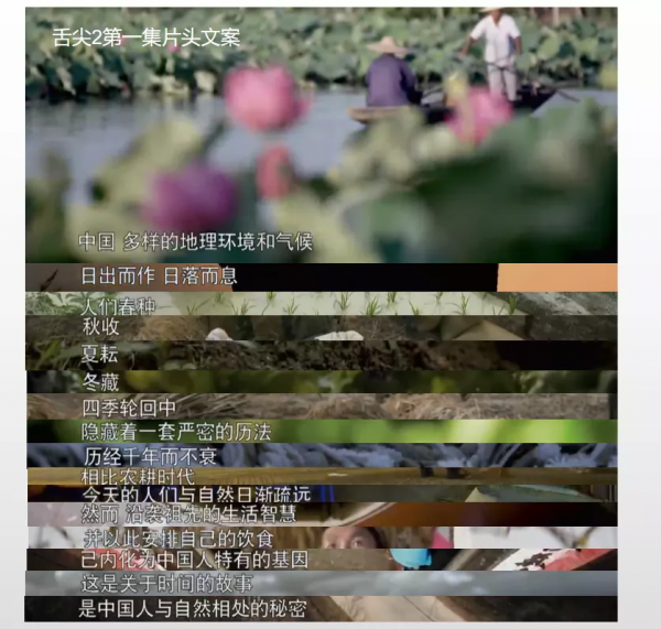 舌尖3是怎麼垮掉的 舌尖3是怎麼垮掉的