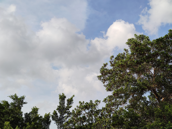 二手值得買 | 小米 10 Pro：官網下架後反而更火的「真」旗艦