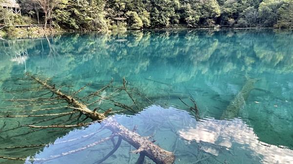 犀利評測｜九寨溝“補妝”歸來依然美麗，遊客惋惜僅走馬觀花