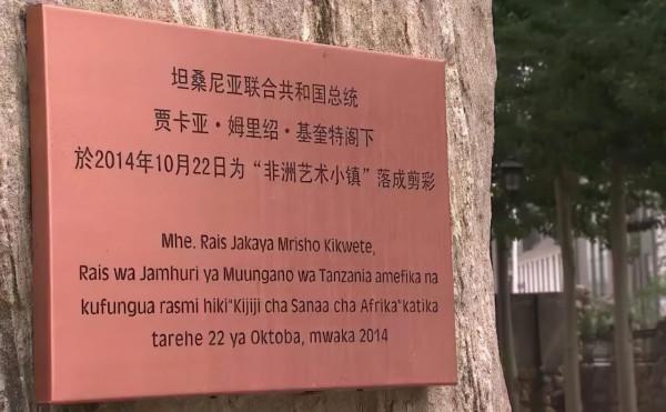 她是開國中將之女，辭去公職，與丈夫在非洲創業，獲中外兩國表彰！