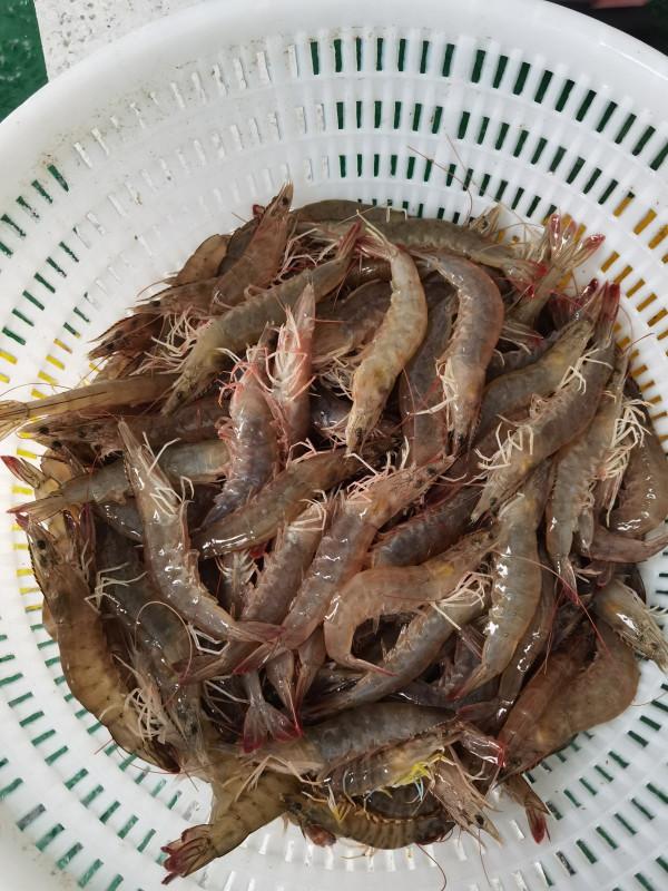 5種食物，秋冬別貪吃，胃疼可夠難受的