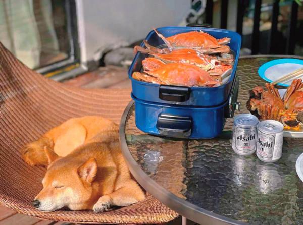 白牆青瓦、低簷粉黛的徽派設計,這才是民宿最高階開啟方式 白牆青瓦、低簷粉黛的徽派設計,這才是民宿最高階開啟方式