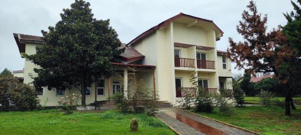 在即墨田橫島，享受難得的寂寞、清淨和快樂