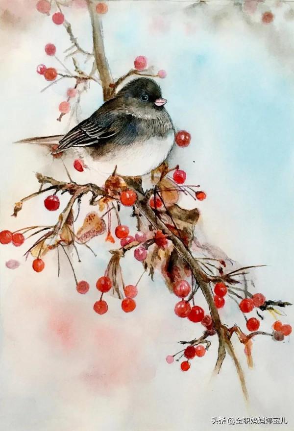 分享——栩栩如生的水彩鳥兒圖