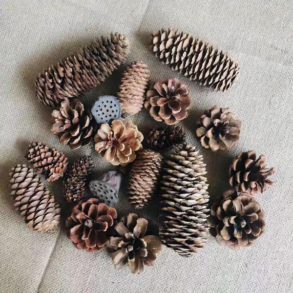 堅果真難剝,5個妙招,吃堅果不再費勁 堅果真難剝,5個妙招,吃堅果不再費勁