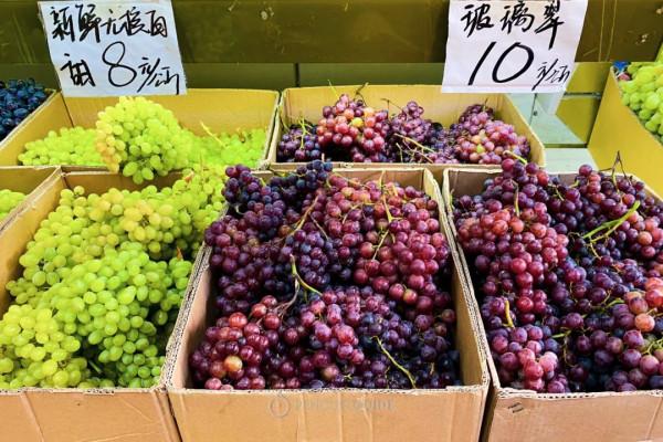 全國秋天神仙菜市場大賞 全國秋天神仙菜市場大賞