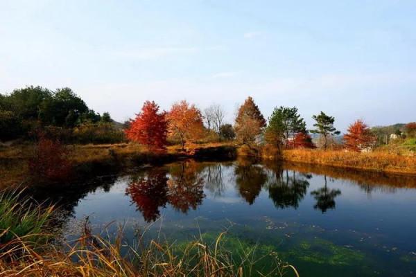 秋天的美景，真迷人