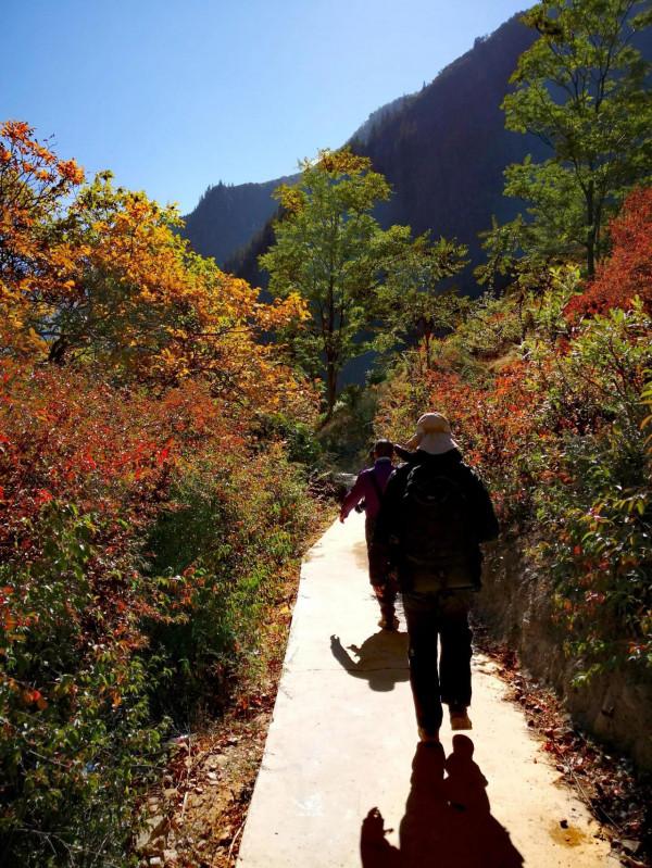 梅里雪山腳的世外桃源雨崩之旅第五天一一尼農峽谷 梅里雪山腳的世外桃源雨崩之旅第五天一一尼農峽谷