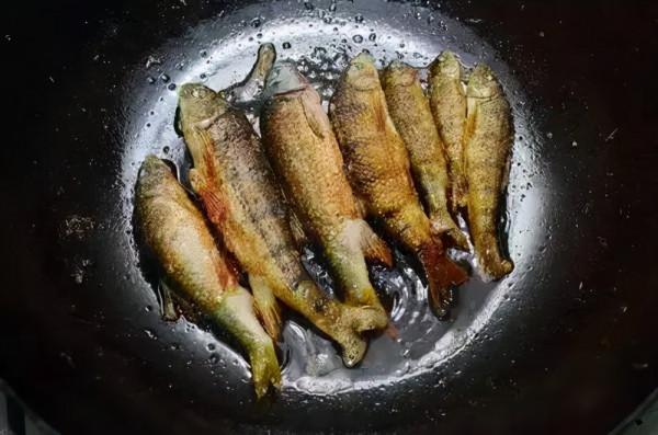 比起幾十斤的大青魚、大鰱魚，這些溪流精靈才是千島湖人的最愛