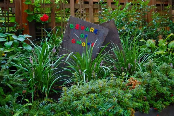 石頭縫裡這樣玩，它也可以成為庭院裡一道亮麗的景緻