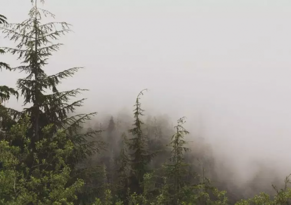 上頭批了。 上頭批了。