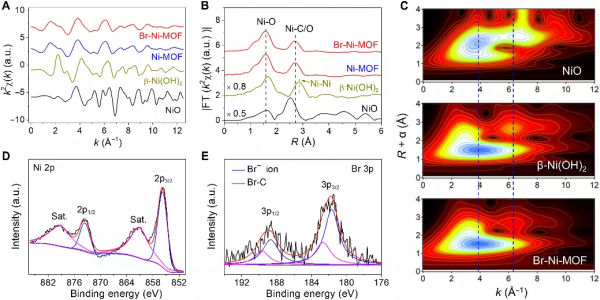 樓雄文Science Advances:Br-Ni-MOF空心稜柱在OER中的原位活化 樓雄文Science Advances:Br-Ni-MOF空心稜柱在OER中的原位活化