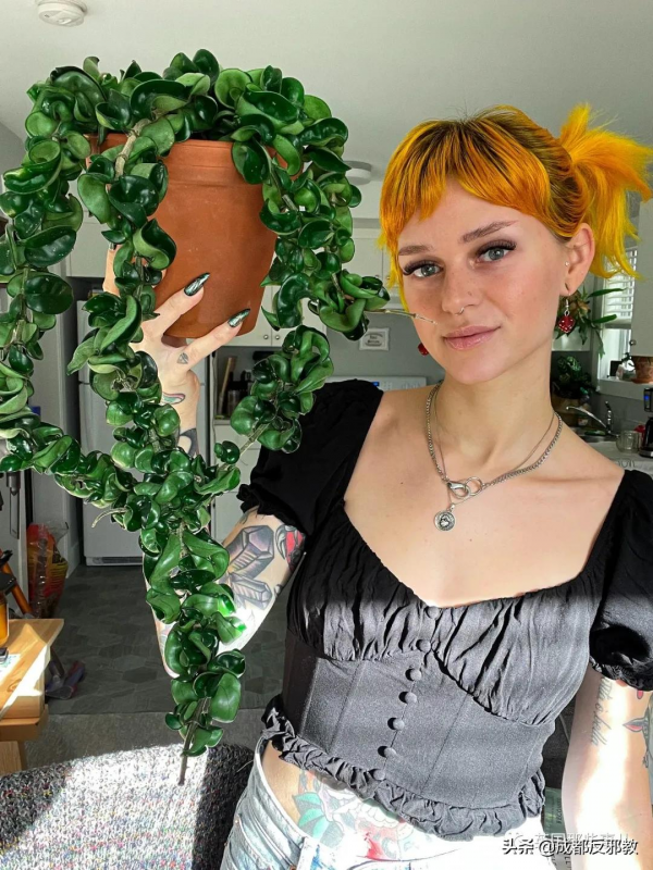 被疫情困太久，歐美年輕人開始瘋狂囤積綠植，借錢都要買？