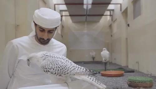 帶你感受一下卡達土豪家近兩萬平的豪宅,貧窮真的會限制想象 帶你感受一下卡達土豪家近兩萬平的豪宅,貧窮真的會限制想象