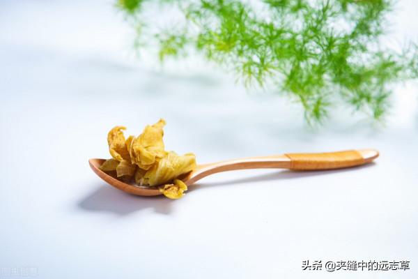 膽囊炎，膽結石？送你八味中藥，辛開苦降，祛邪排濁