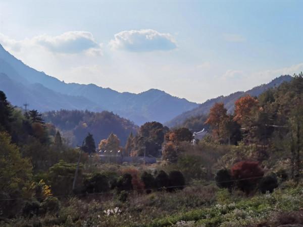 秋染大別山，最美是英山