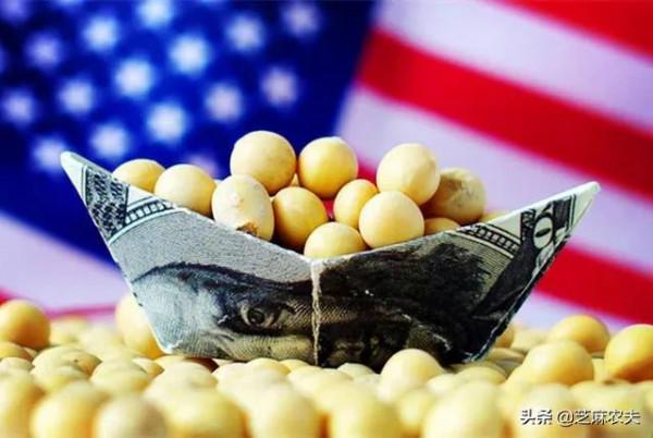 中國主要進口哪些美國農產品？（美國農業部資料）