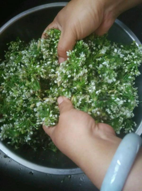 每到9月就很多人摘它，香味撲鼻喜歡吃的更是著迷