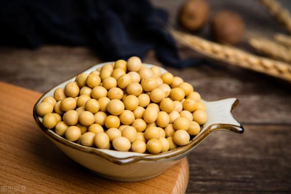 調節血脂好幫手,原來大豆這麼有營養 調節血脂好幫手,原來大豆這麼有營養