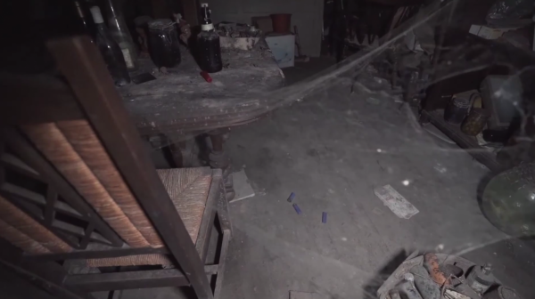 愛狗夫人留下的豪宅，廢棄了20多年，屋內留著狗標本