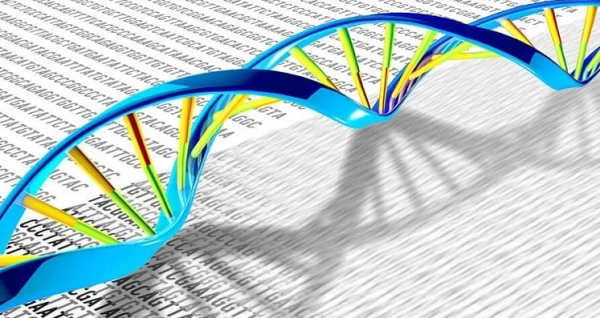 體外診斷裝置開發:IVD行業內的新興力量-分子診斷 體外診斷裝置開發:IVD行業內的新興力量-分子診斷