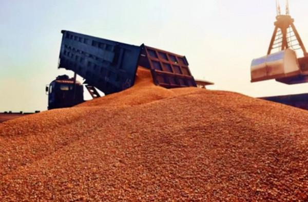 印度一直以來的願望再度落空，出口大米遭“侮辱”，事情有新進展