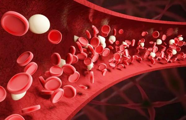 有的人青筋暴起,有的人卻看不到青筋,哪些部位出現青筋需要重視 有的人青筋暴起,有的人卻看不到青筋,哪些部位出現青筋需要重視