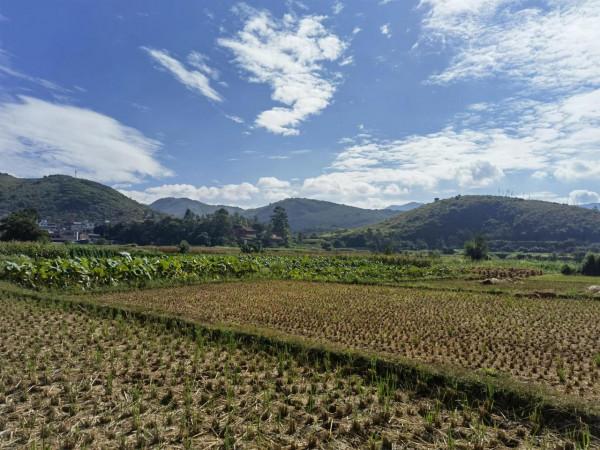 彌勒市竹園,一個美麗的地方 彌勒市竹園,一個美麗的地方