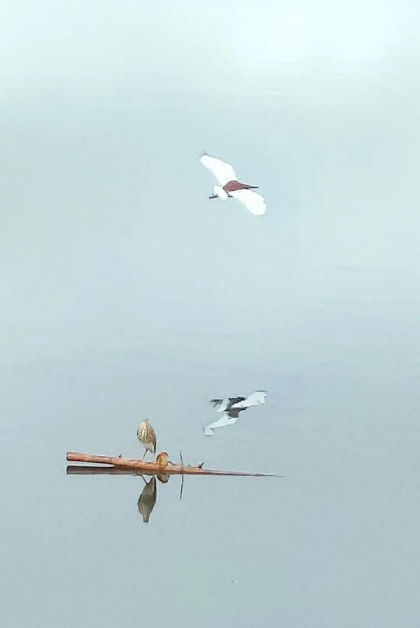 朋友圈2022年第7期｜&vert;好山好水