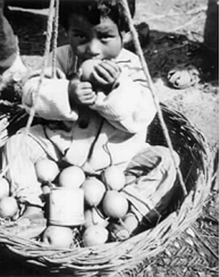 1992年聶榮臻臨終前,為何特意囑咐女兒:不要忘記日本“妹妹” 1992年聶榮臻臨終前,為何特意囑咐女兒:不要忘記日本“妹妹”